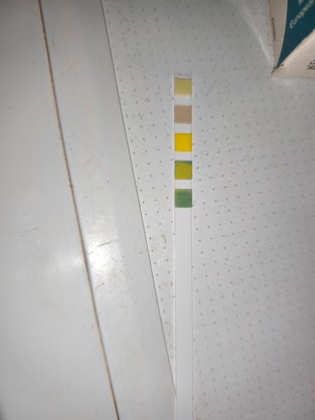 Je tento prúžok z moču v poriadku?