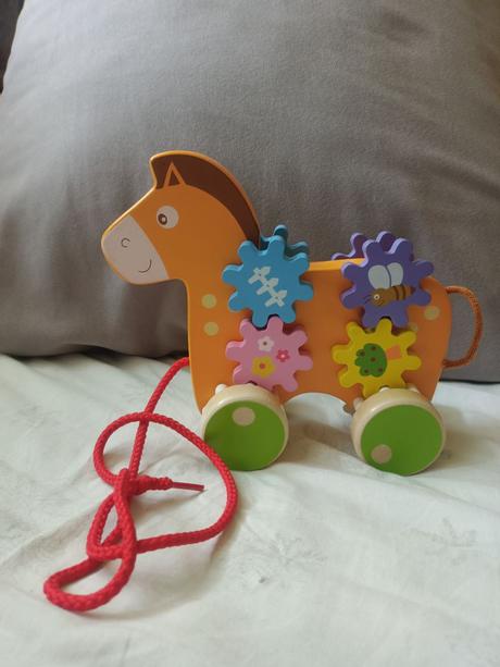 Tahaci konik dreveny, 