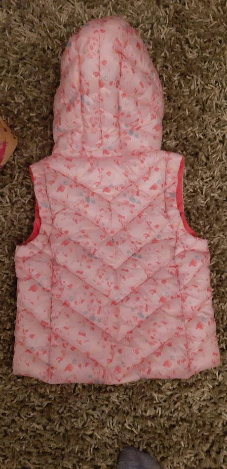 Vesta mango, mango,128