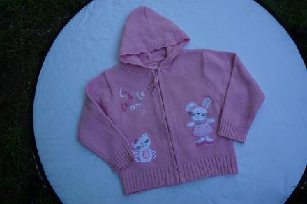 Sveter, cactus clone,86