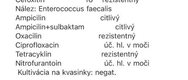 Pomôže Macmiror na Enterococcus faecalis?