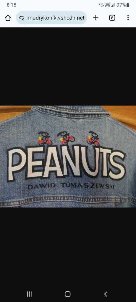 Neskutocny kabatik, m