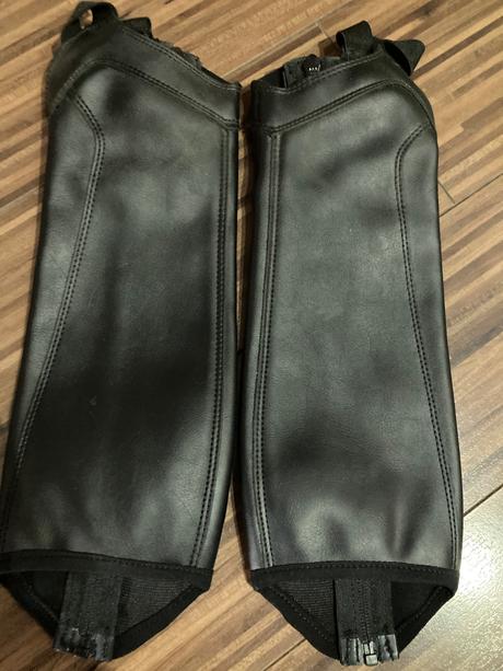 Jazdecka korytnacka,