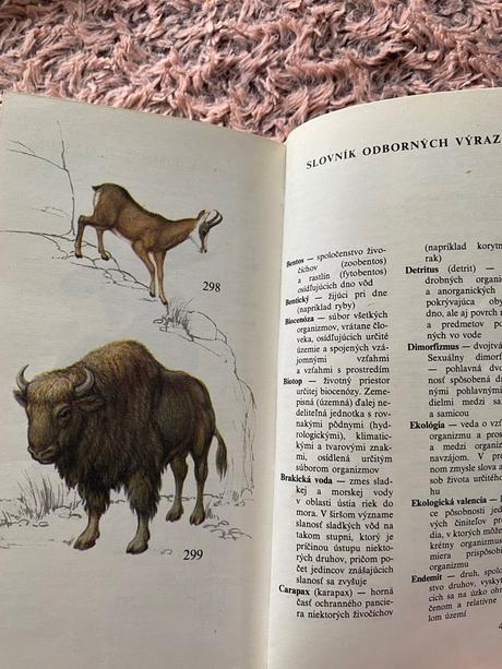 Atlas chránených živočíchov slovenska  a. čaputa,, 