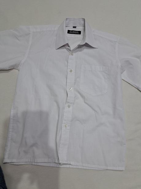 Kosela a sirtky 146, 146