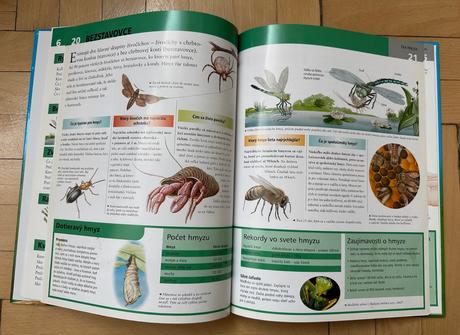 Živá príroda otázky a odpovede brian williams,