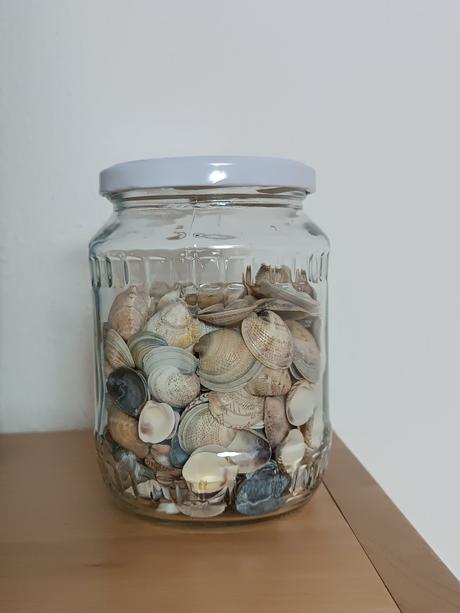 Dekoračné mušle, 