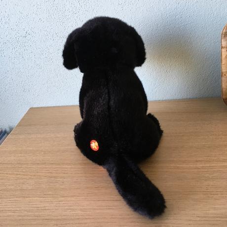 Pekny psík nepoužívaný, 