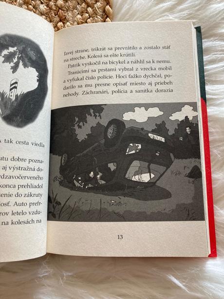 Tigrí tím tajomné stretnutie o polnoci (2014), 