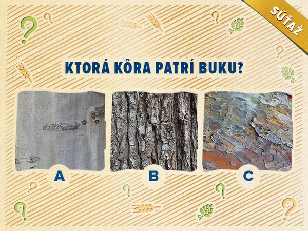 Spoznávate prírodu? II. časť!