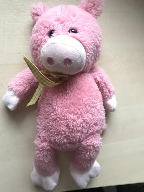 Plysove prasiatko pre stastie, 