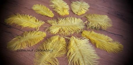 Dekoračné pierka marabou - 10 kusov,