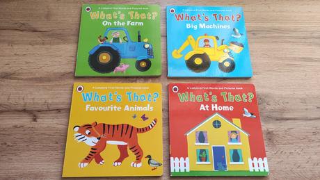 Knižky prvé slová anglický jazyk,