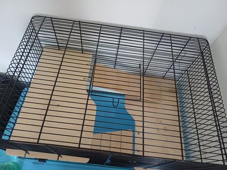 Pre škrečka, 