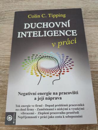 Duchovní inteligence v práci cz - colin tipping,