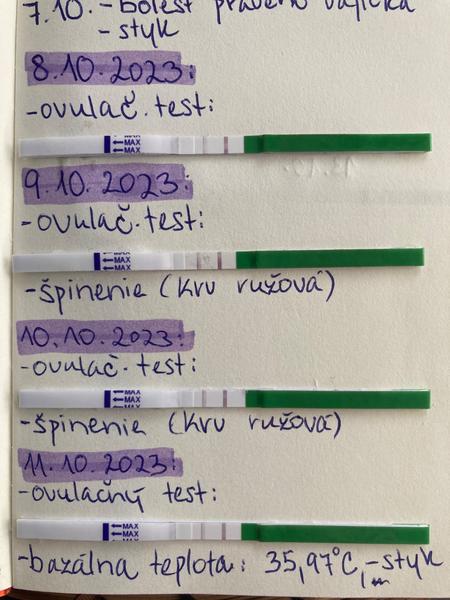Ovulačné testy a bazálna teplota
