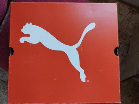 Snehule puma, puma,40