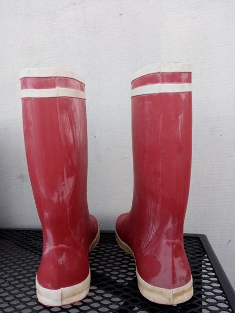 Gumáky aigle, aigle,30