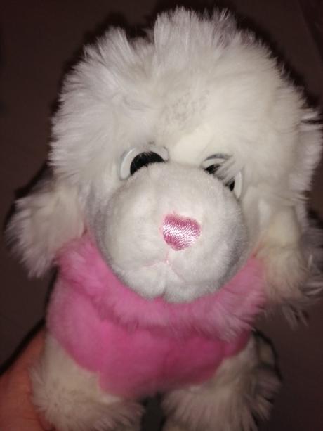 Biely pudlik v ružovom,