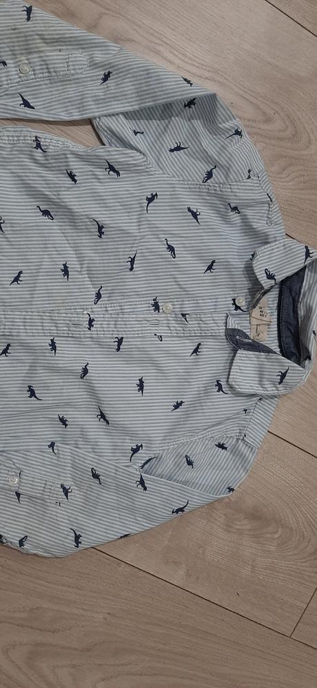 Kosela s dinosaurmi, h&m,110
