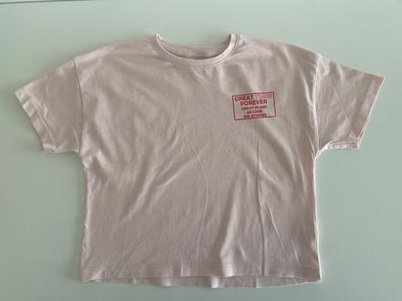 Ruzove tricko, zara,122