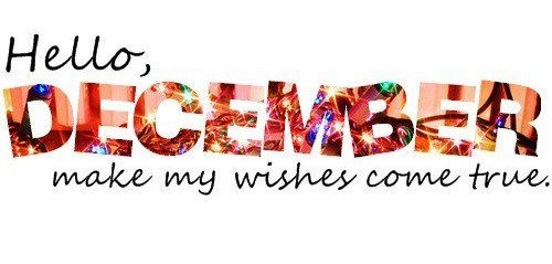 Termín pôrodu december 2016