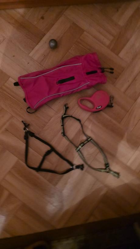 Oblecenie pre psika trixie 25cm,