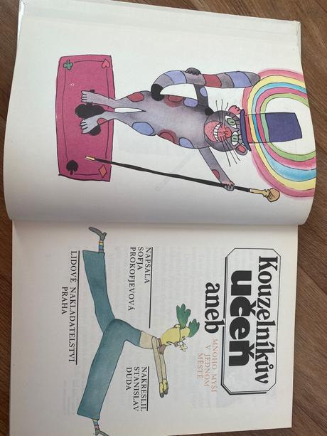 Kouzelníkův učeň aneb mnoho myší v jednom měste,