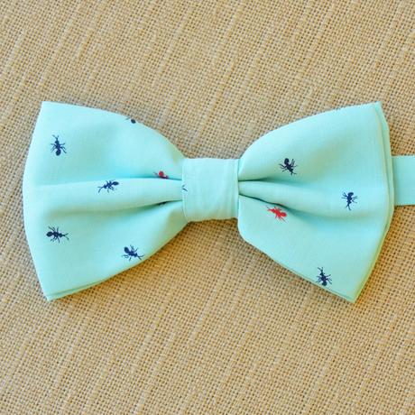 Jarný, pestrý , veľkonočný motýlik, 