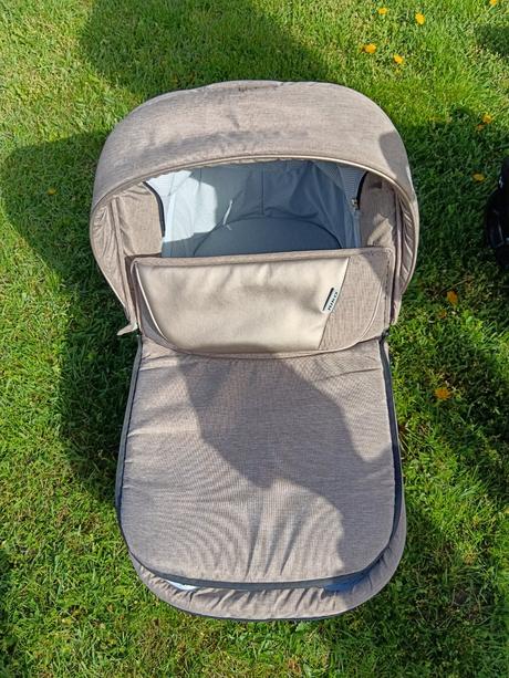 Kočík riko nesa, riko,riko nesa