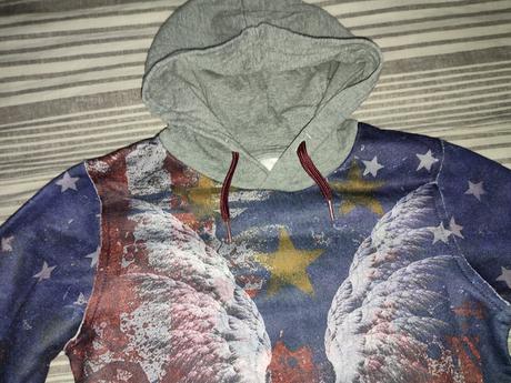 Mikina gaudi, gaudi,134