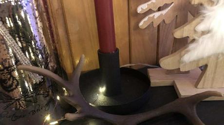 Parôžky - parožie, 