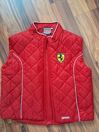 Vesta presivana, 152