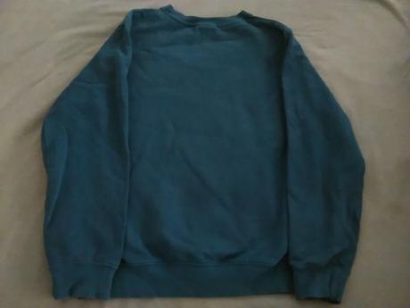 Mikina t rex, next,134