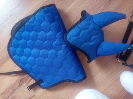 Hobby horse,