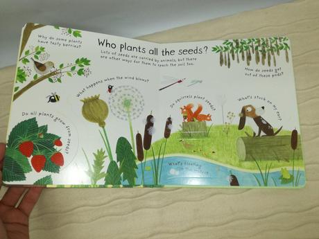 Usborne first q&a how do flowers grow njul18,