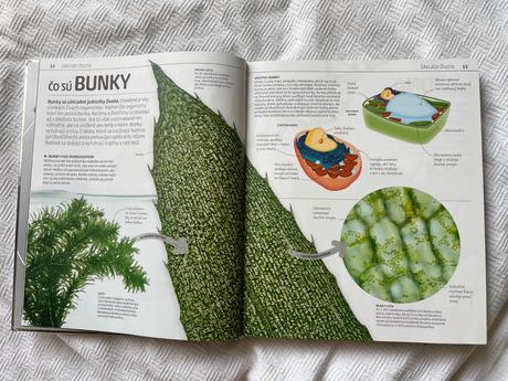 Explantórium prírody,