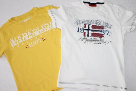 Tričká napapijri, 110