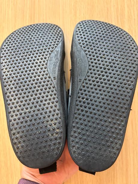 Pegres 31, pegres,31