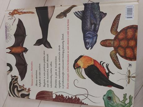 Kniha animalium  od katie scott, 