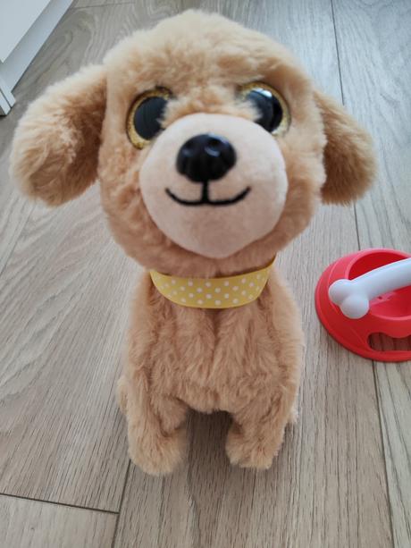 Hafici - hafík lumpik, 