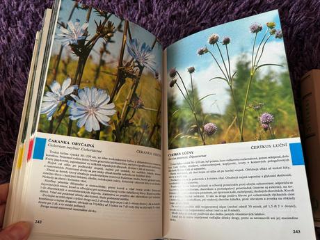 2 ks knižky o liečivých kvetoch,