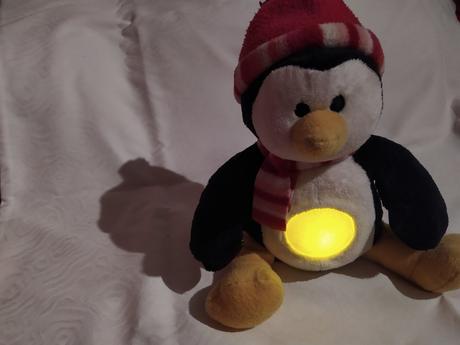 Hraci a svietiaci tucniacik, 