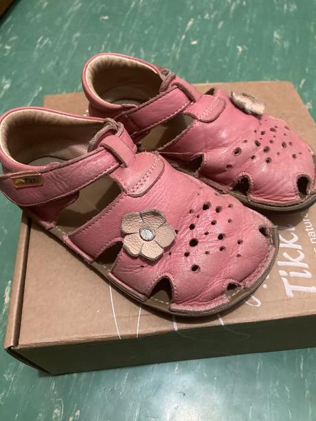 Tikki aranya, tikki,26