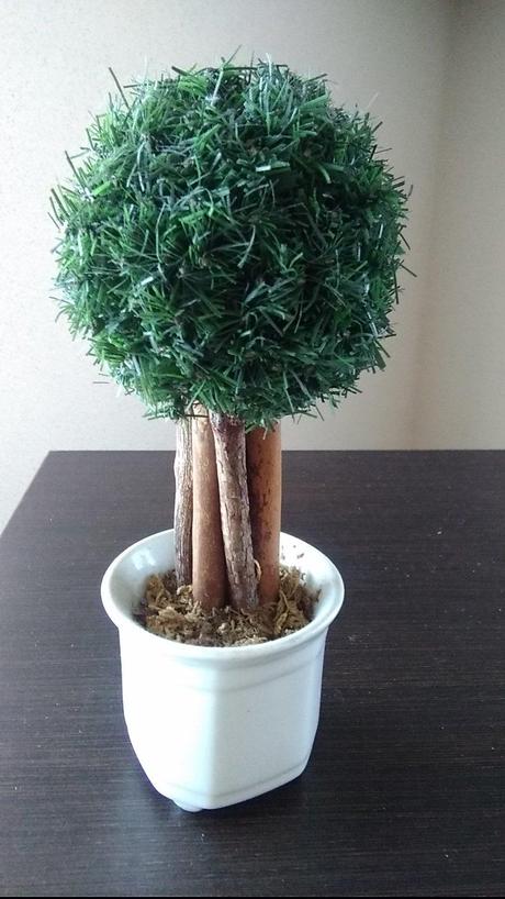 Dekorácia v keramickom črepníku,