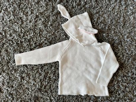 Zajacikova mikinka v. 110, 110