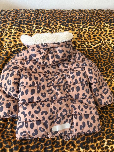 Zimna vetrovka, f&f,104