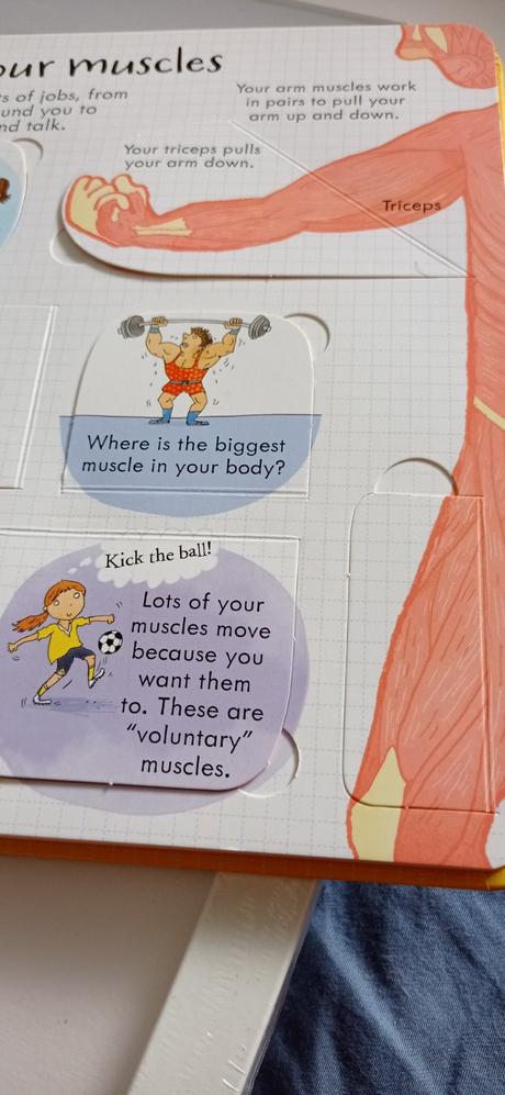 Usborne your body flap book,