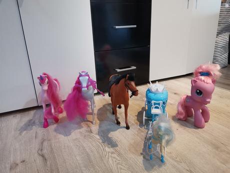 Koníky, cena spolu, 