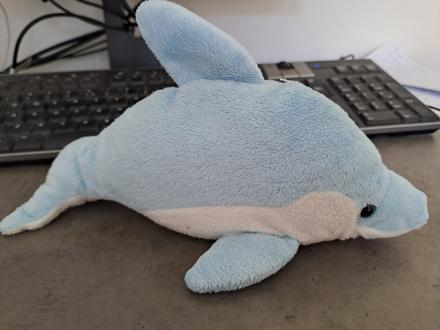 Plysak delfin,